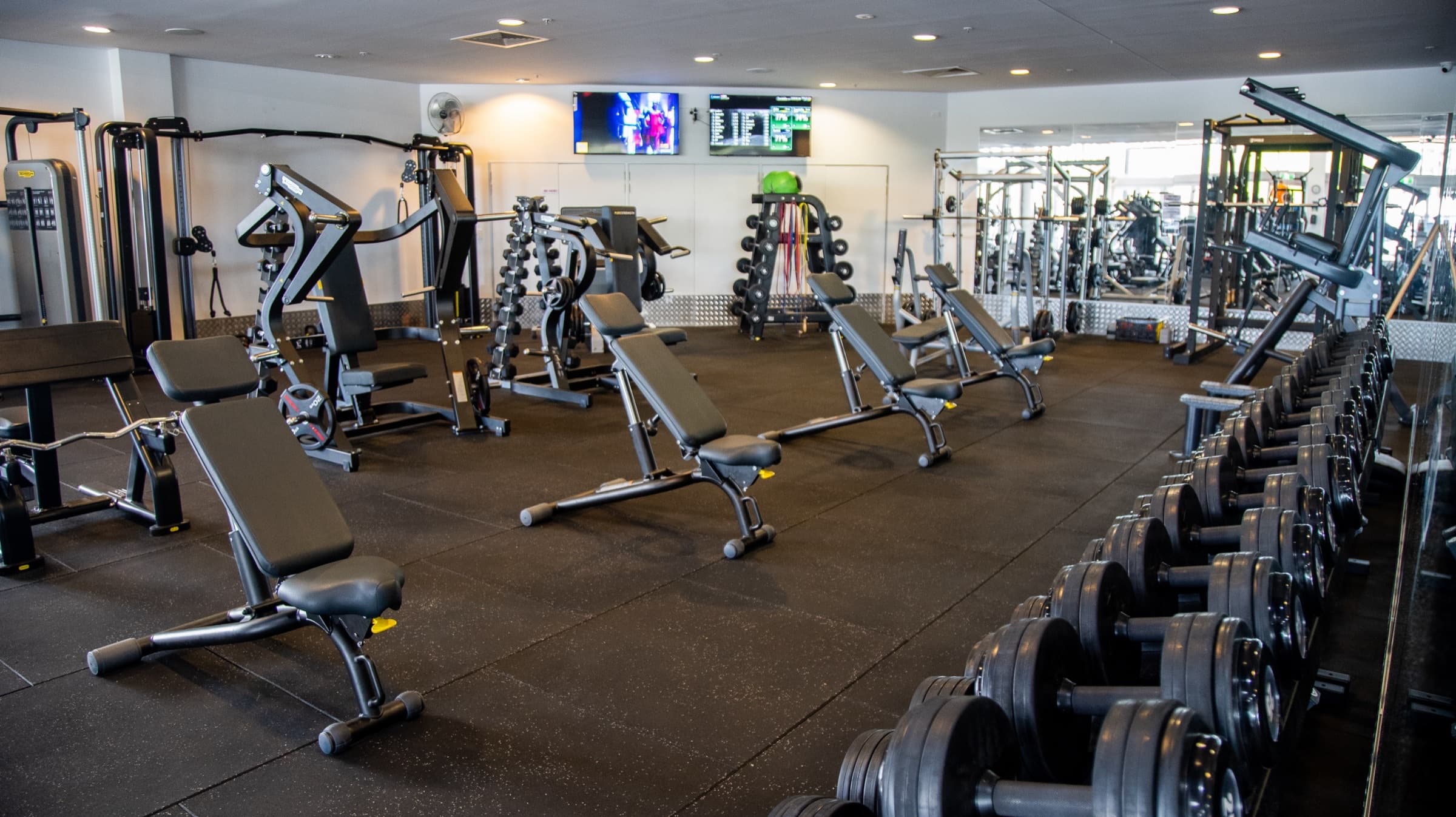 Plate-loaded machines and free-weight area